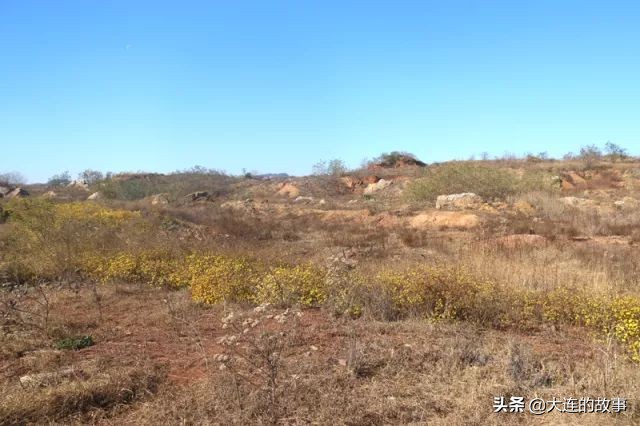 大连金普新区石槽村的那片玫瑰石，你去看过吗？