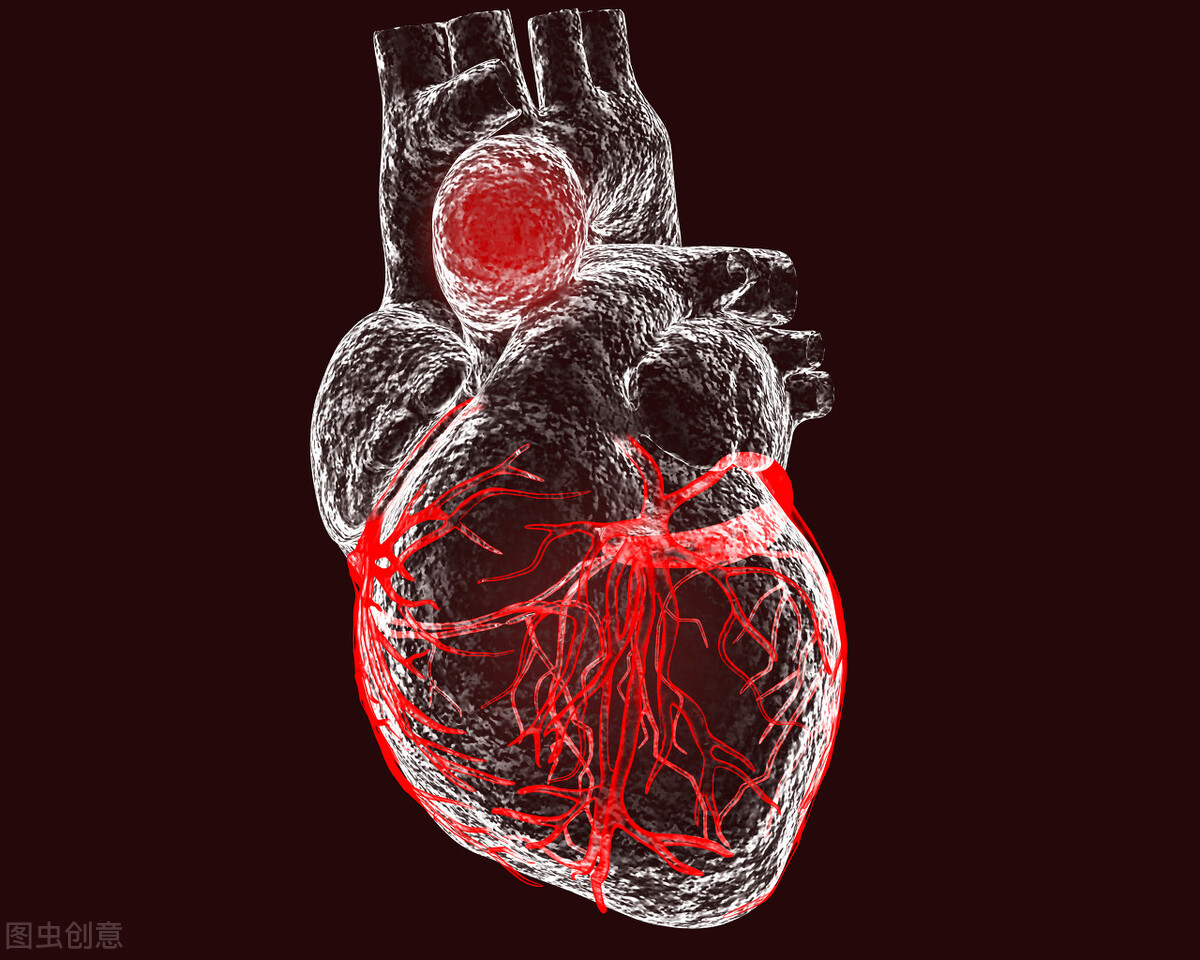 人类罕见人体特征,人类最罕见的身体特征