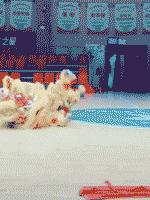 “老鼠贴粘到的，吃了不会犯法吧？”网友：争取死缓吧！哈哈哈