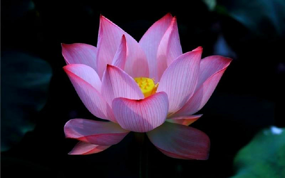 没有甜言蜜语却会用情至深的星座,越是喜欢一个人越没话说的星座