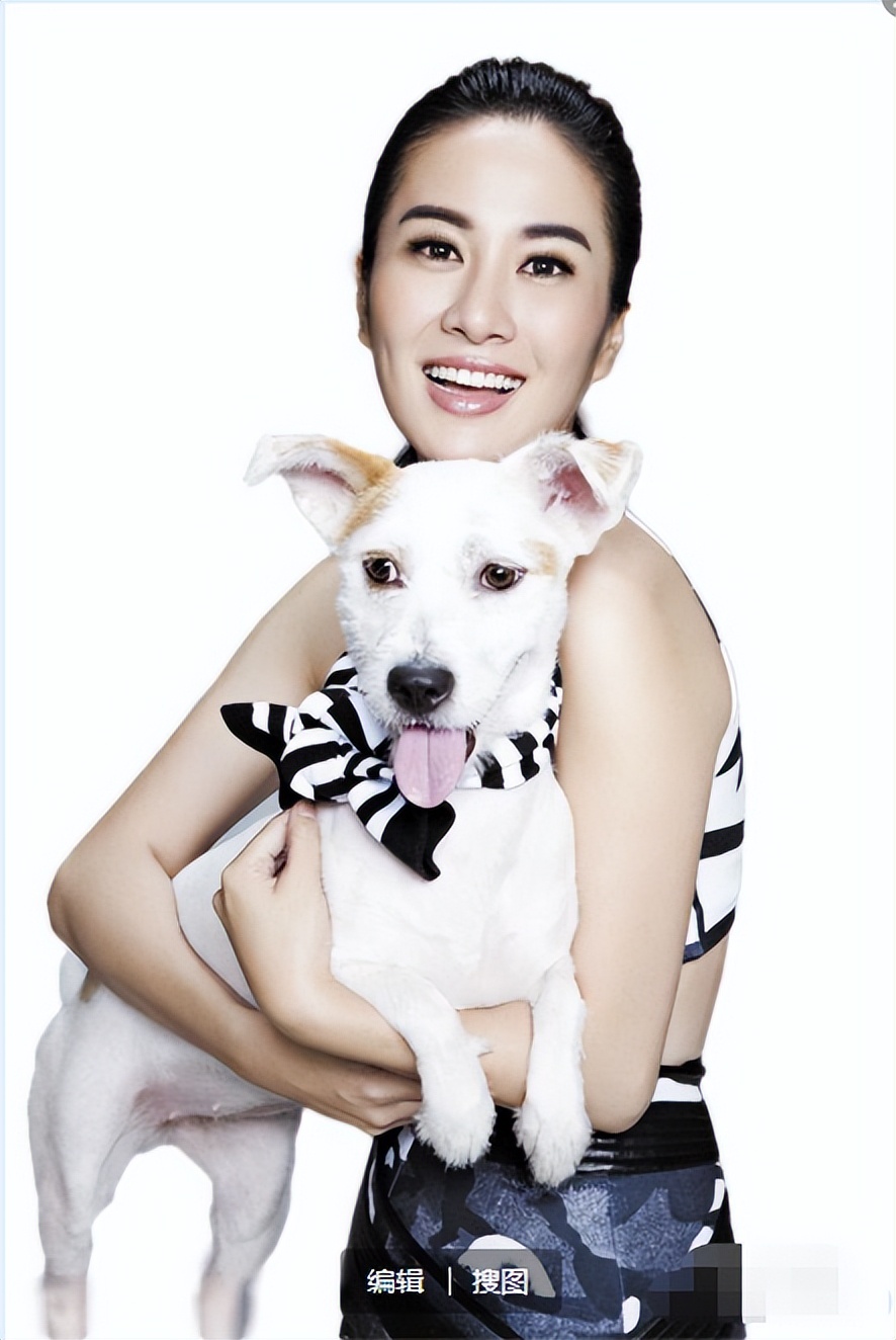 李依晓被狗咬为什么还会败诉,李依晓被狗咬前后的照片对比