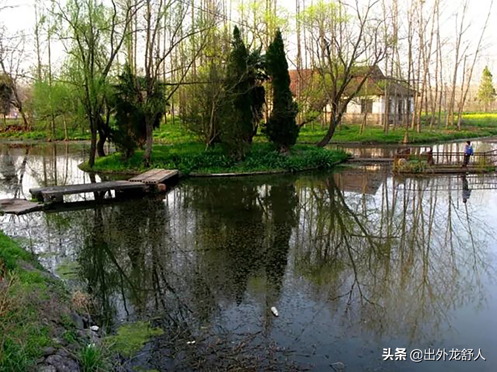 榫欓鍚堣偉,鍚堣偉鍛ㄥ叕灞遍緳娼渤