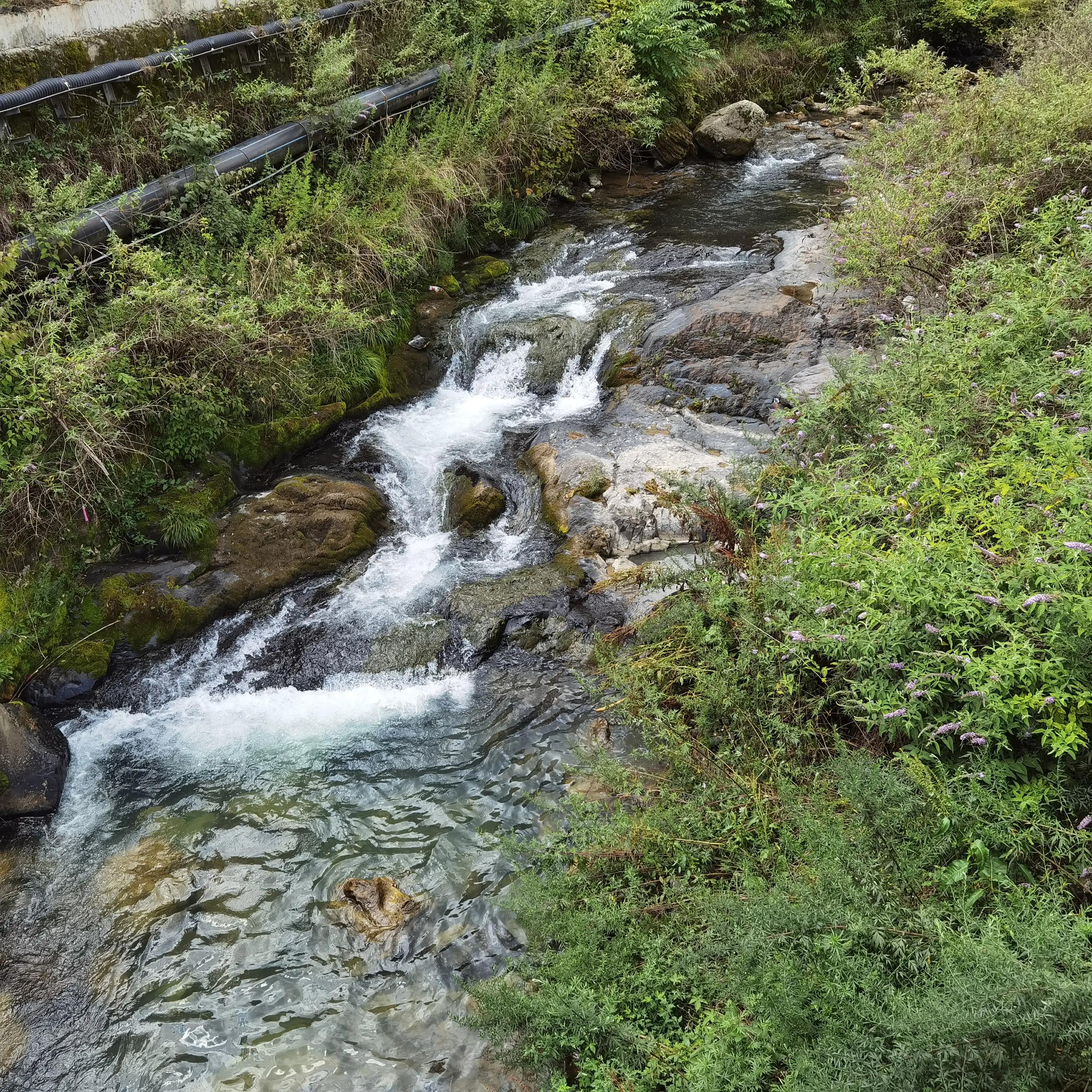神农架木鱼镇老地方,神农架木鱼镇历史