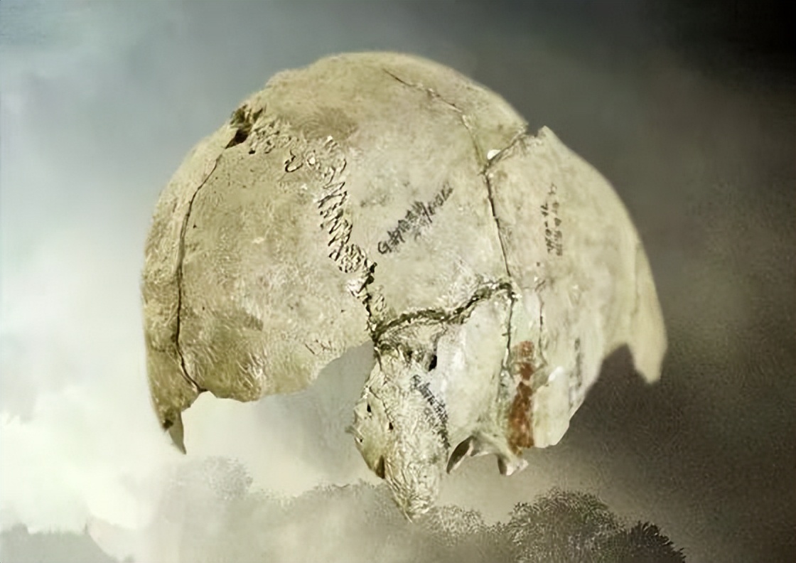 【甘快看】“踢”上热搜的甘肃泾川原来还有这么多“出圈宝藏”！