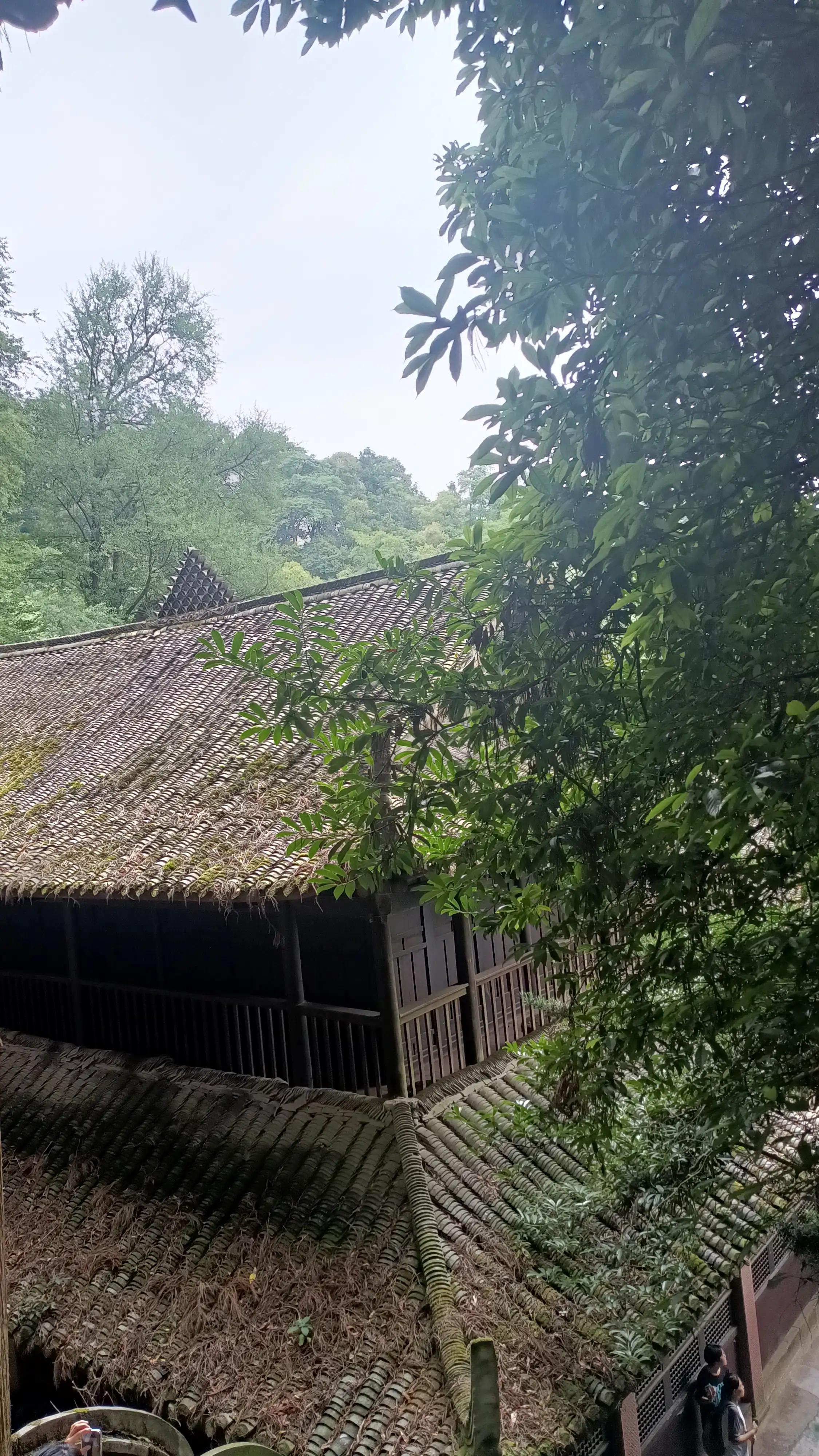 青城山一日游大概多少钱,青城山一日游民宿