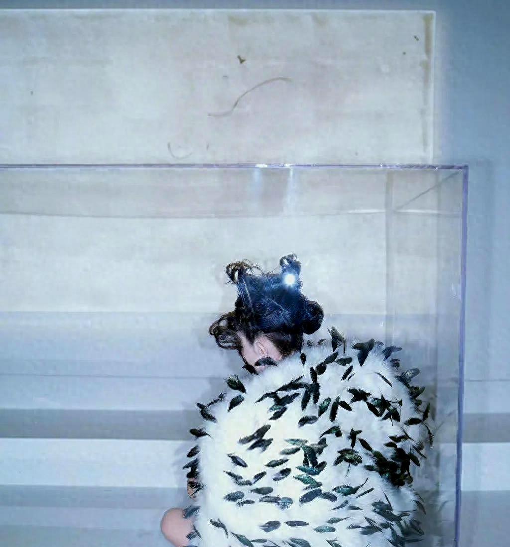 娱乐圈八卦封面,娱乐榜最新排行榜封面