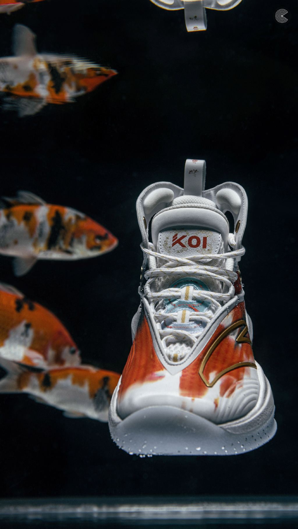 詹姆斯最新上脚球鞋,詹姆斯上脚使节12图片