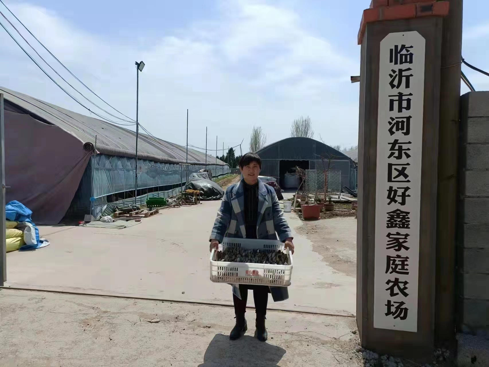 “鸿雁”高飞种养结合创丰收——记河东区鸿雁人才马利娟