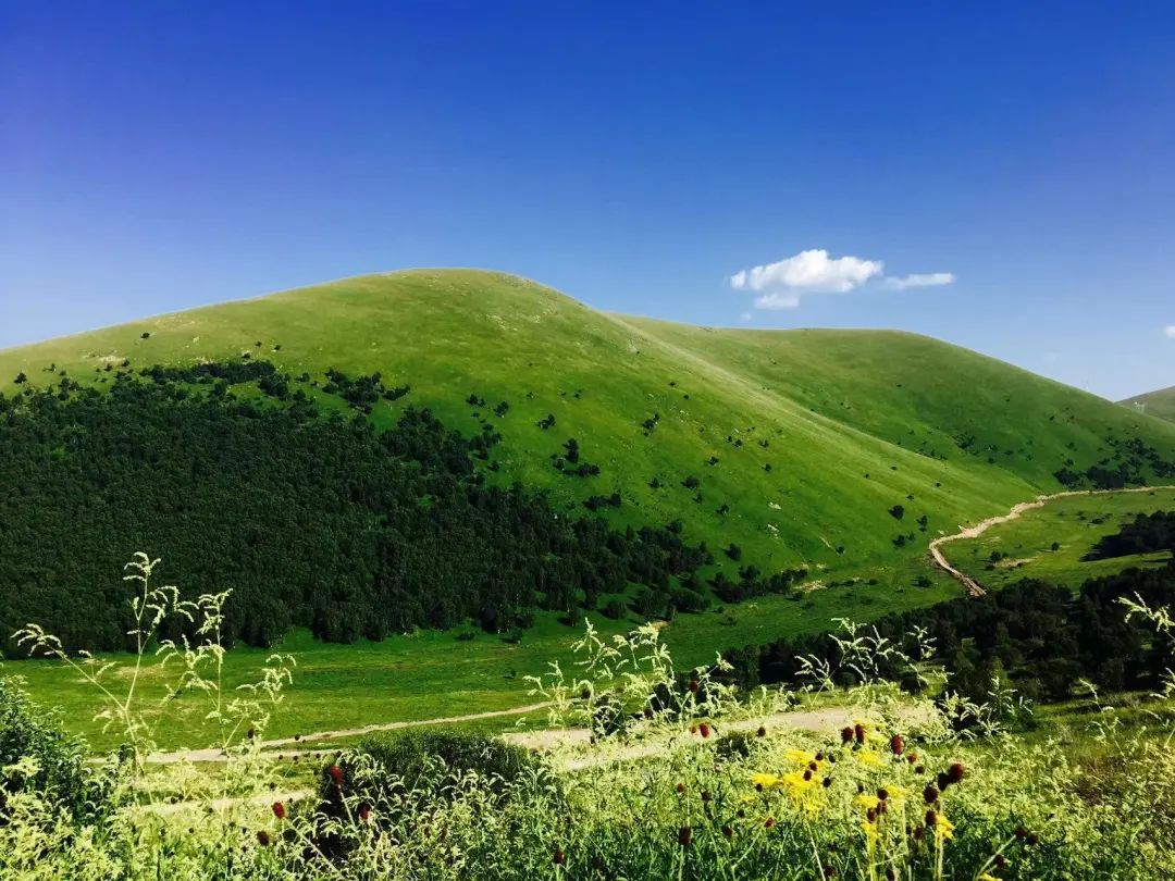 从零开始炒股电子版,从零开始炒股视频