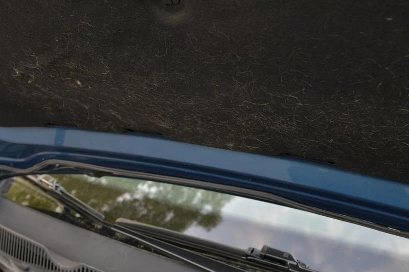 诺总日记最新视频,诺总日记最新消息