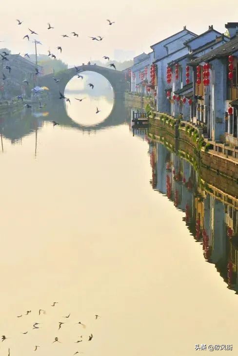 敢向潮头立解说,敢向潮头立是什么意思