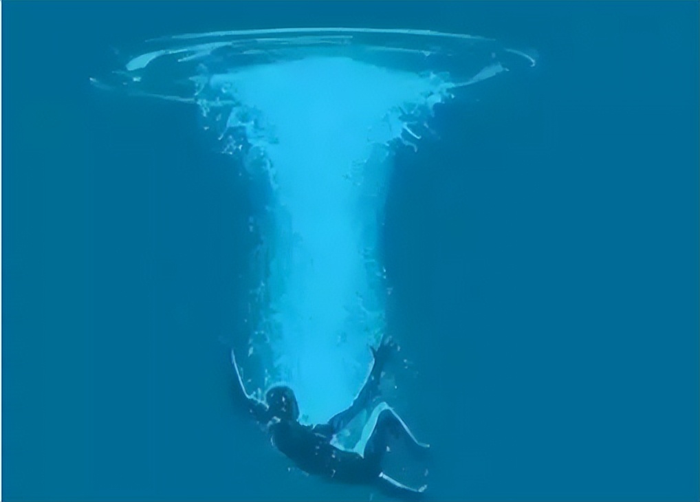 警惕！免费“约炮”是幌子