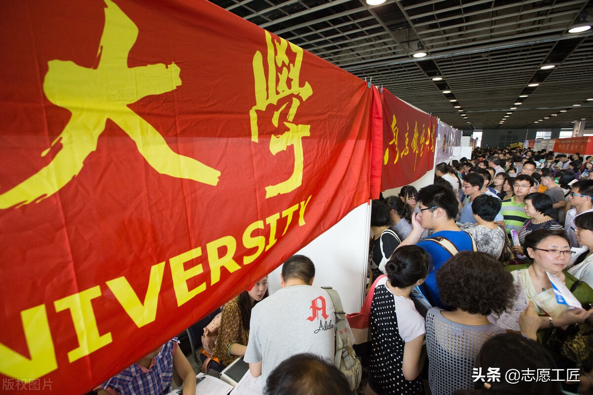 高考志愿填报品牌,高考志愿填报专家排名