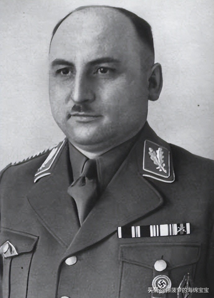 纳粹冲锋队用的什么枪,纳粹德军军衔图解