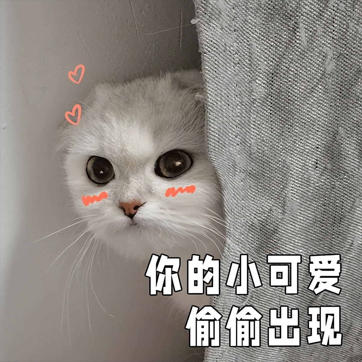 2023广州工资标准,广州2023的平均月工资多少