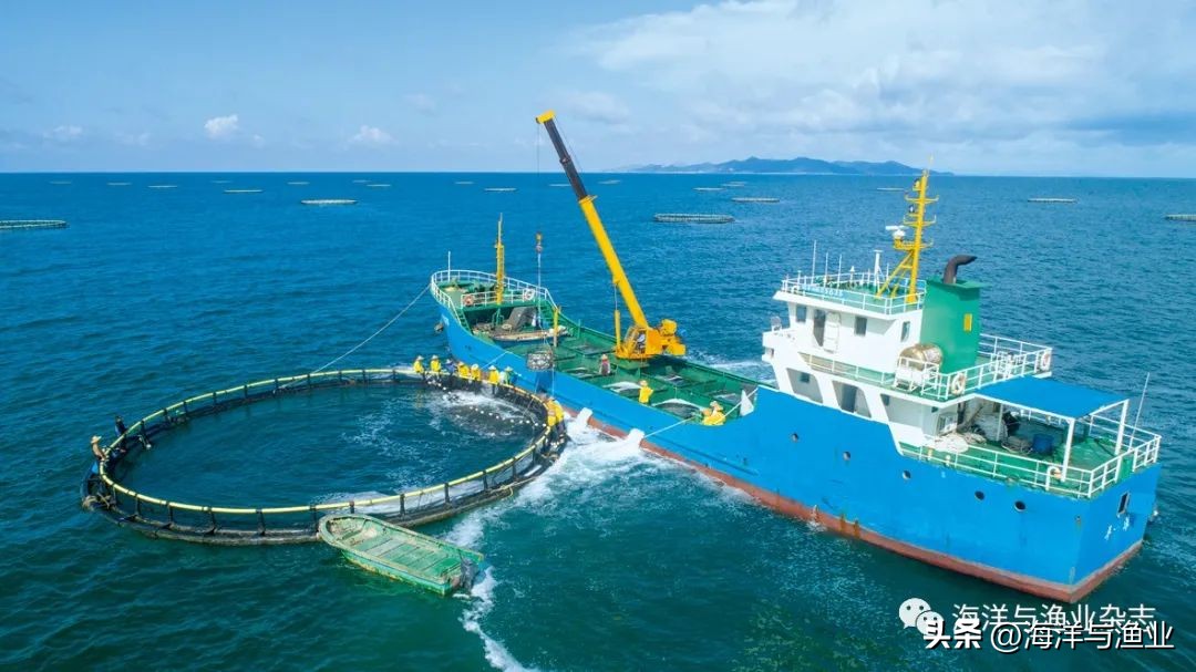 全潜式深海养殖网箱,深海网箱养殖的成本与利润