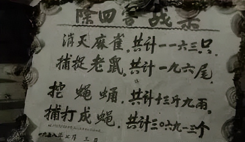 【爱国卫生月】爱国卫生运动，从我做起