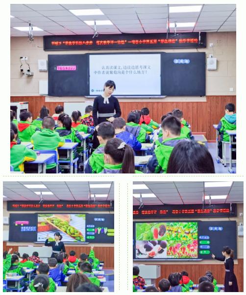 迎春小学,双减背景下的小学科学拓展性课程