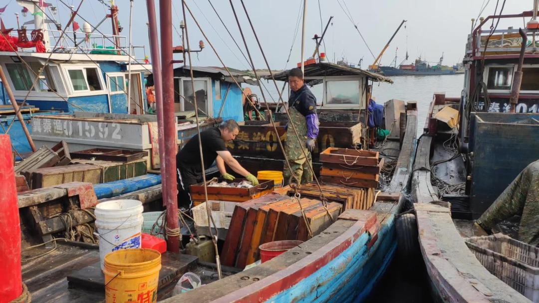 秦皇岛开海海鲜图片,开海后的生猛海鲜已抵达秦皇岛