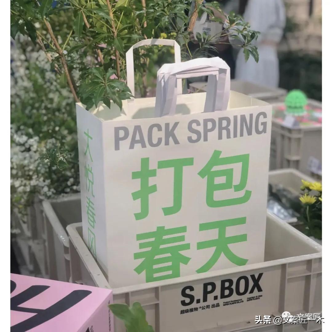 高级看淡世俗文案,那些饱含爱意的文案