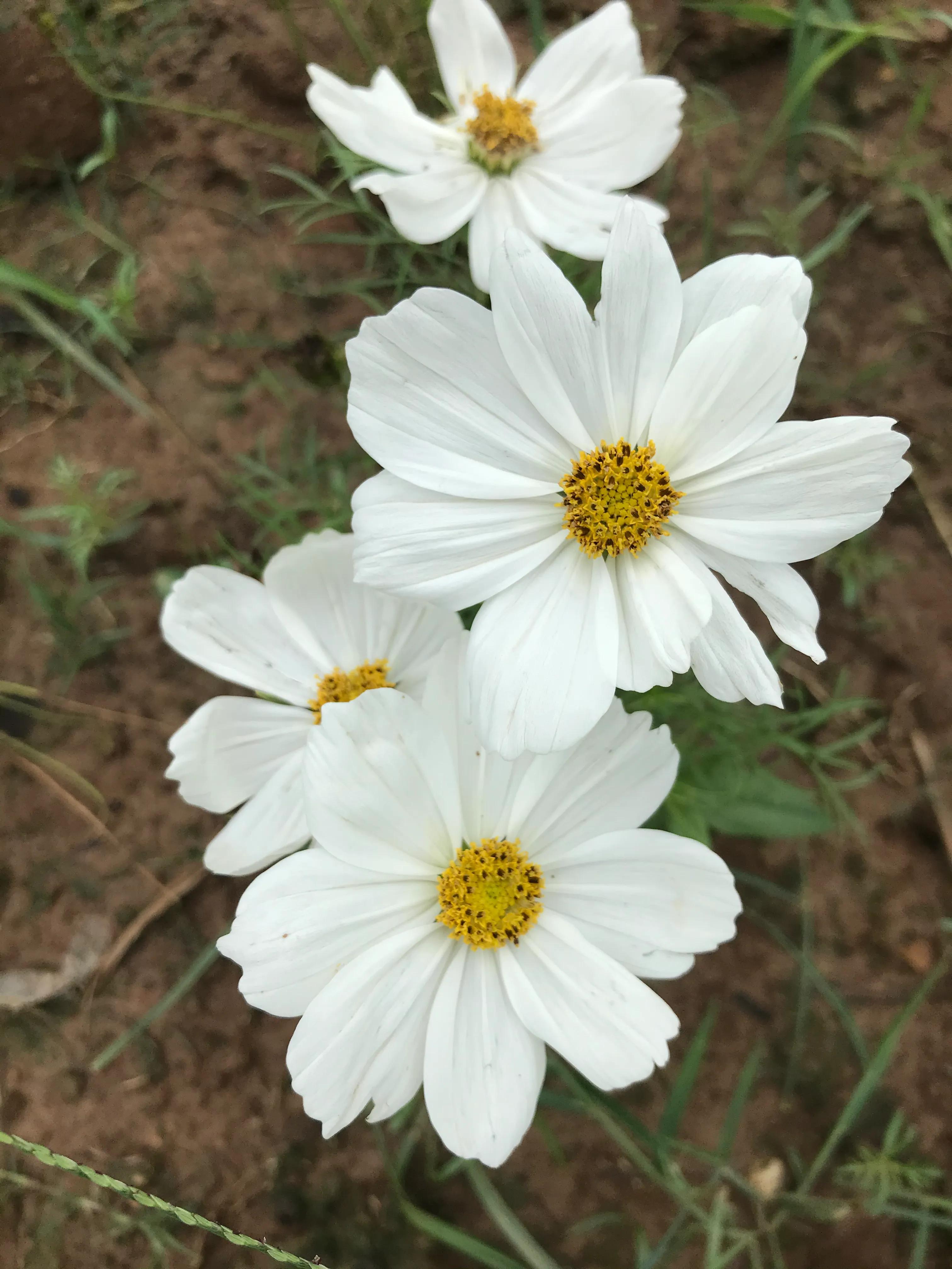 足球赛场的美好瞬间,足球赛观赛第一视角