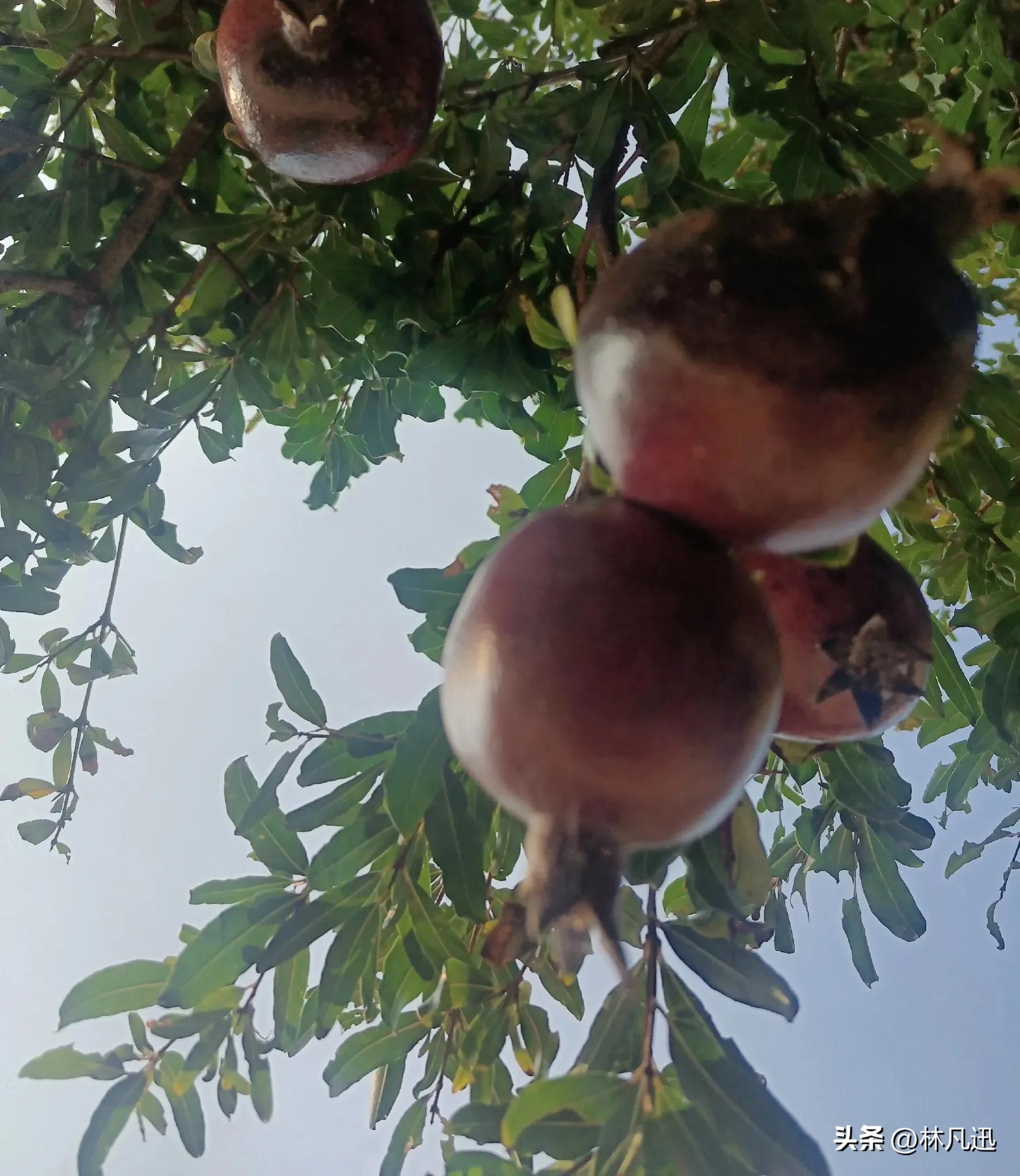 好股低估值,好股并不多股价在低位