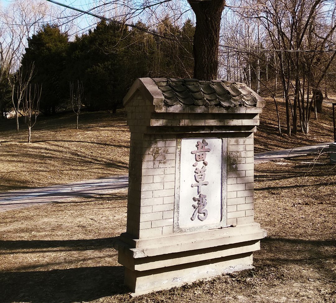 春日漫步随拍,春日漫步