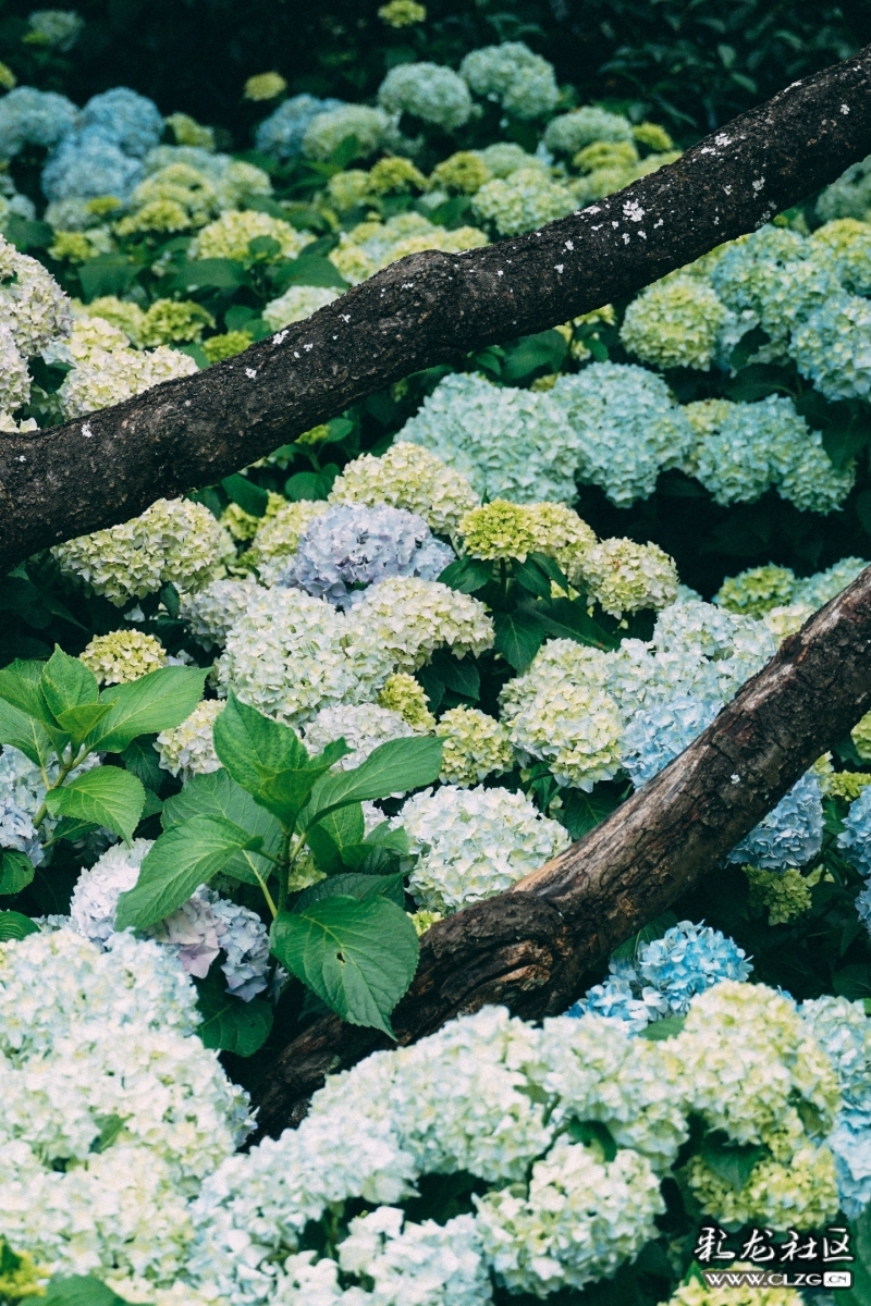 云南旅行攻略昆明,云南旅游全攻略昆明篇