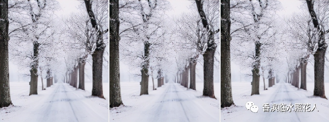 五年级作文历险记思维导图,思维导图画三年级的