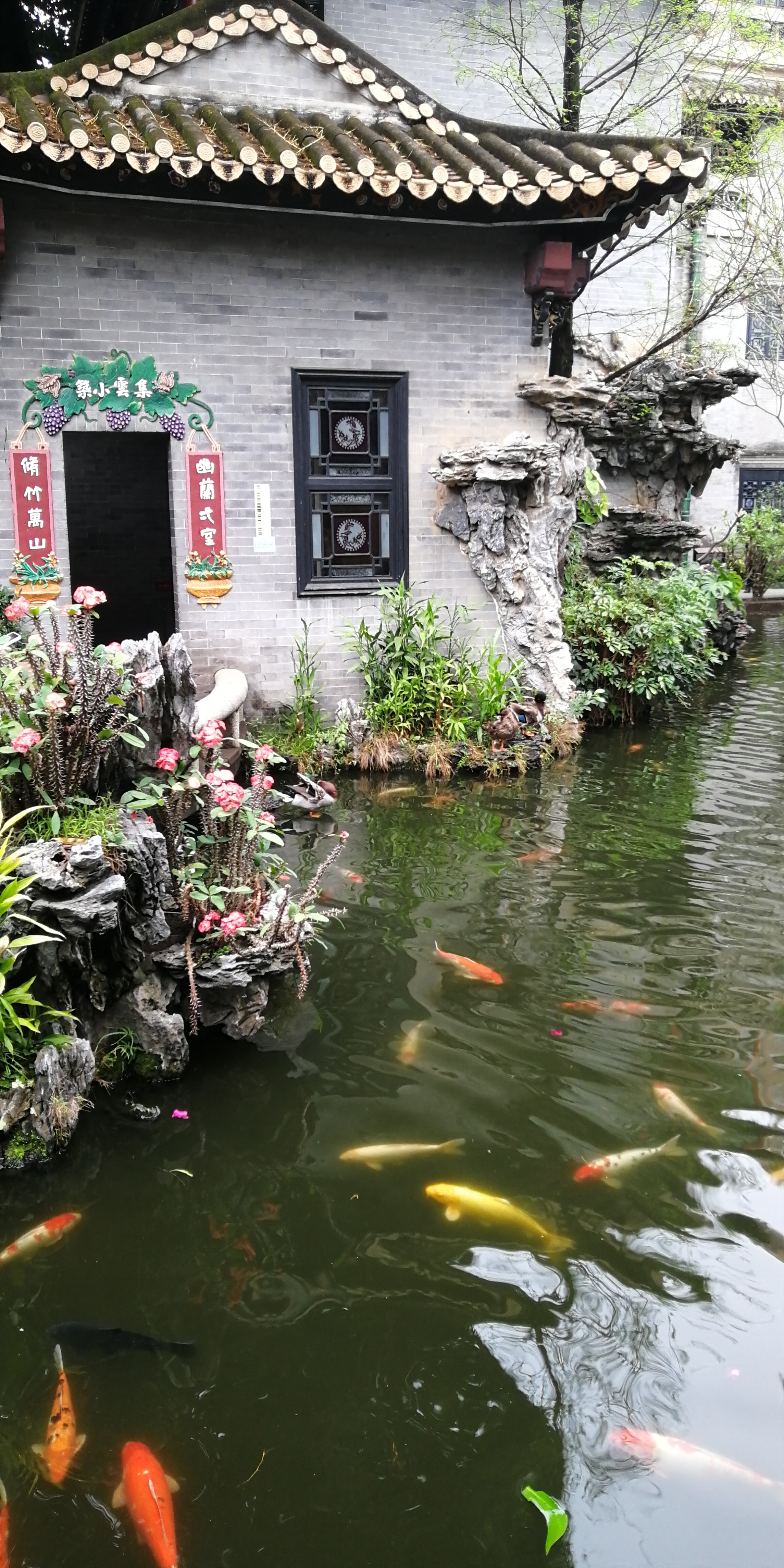 广州景点赏花攻略一日游,广州附近赏花旅游景点推荐