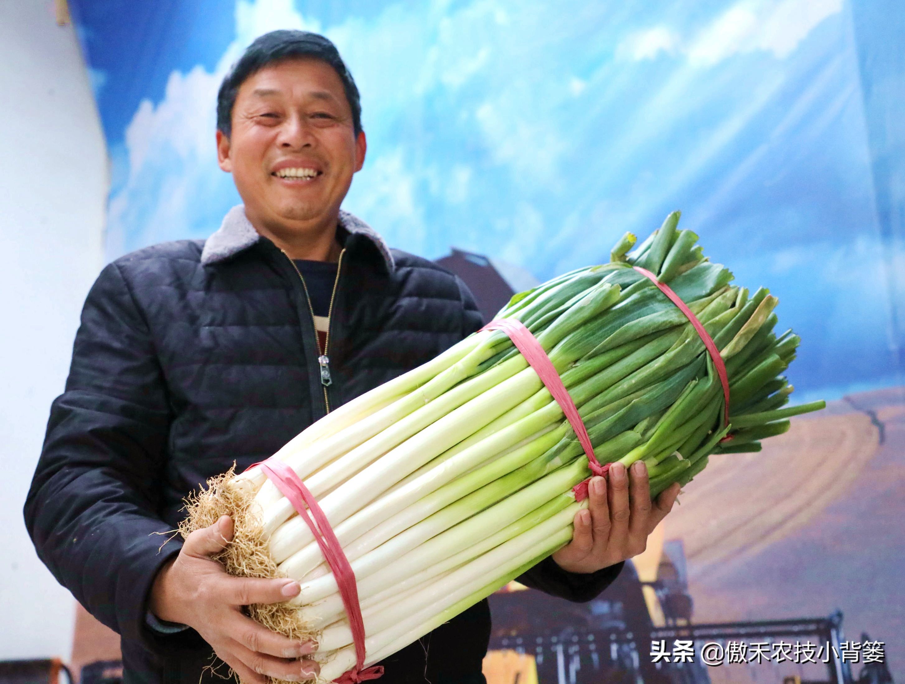 大葱种植多久浇水,大葱的种植技术及播种时间