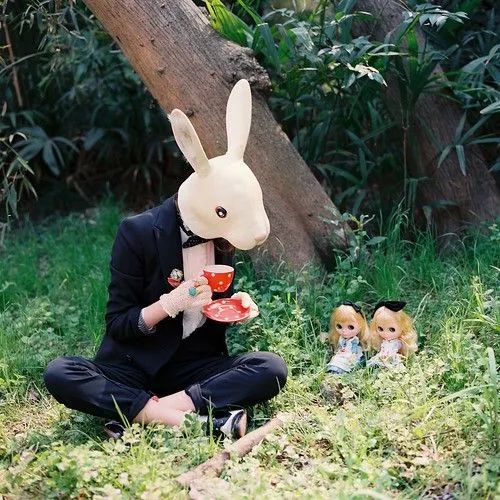 不结婚轻松过一辈子,如果不结婚你想怎么过