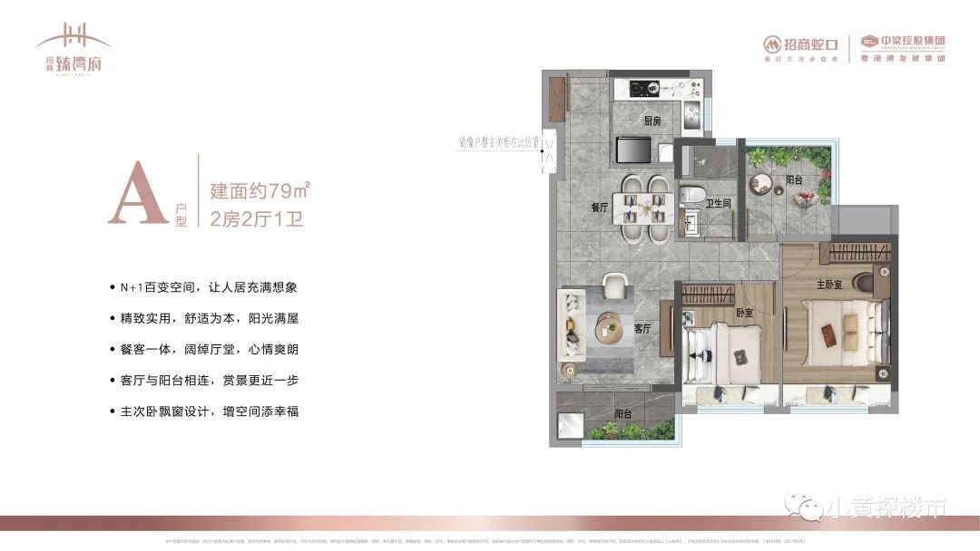 中山马鞍岛招商臻湾府79平点评,中山马鞍岛招商臻湾府多少一平