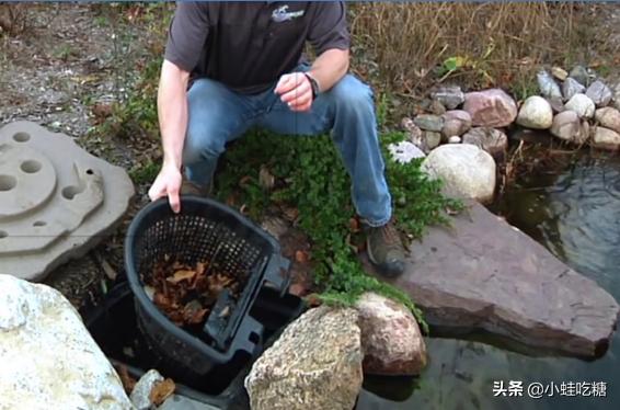 水质清澈的池塘,池塘怎么才能使水质变清澈