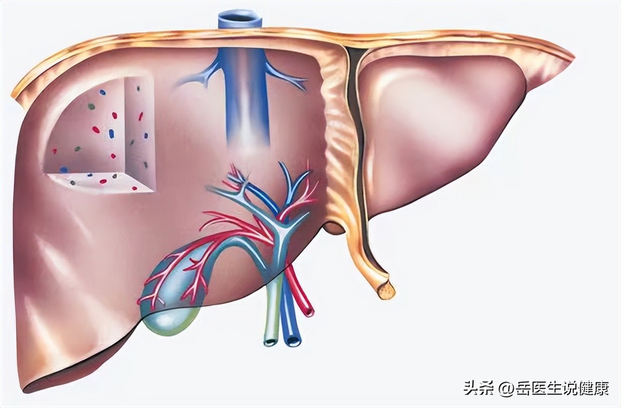 谷维素治疗失眠怎么服用最安全,谷维素是治疗失眠高血脂的良药