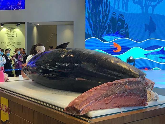 广东渔民捕获大鱼,渔民出海捕到一条106斤的鱼王