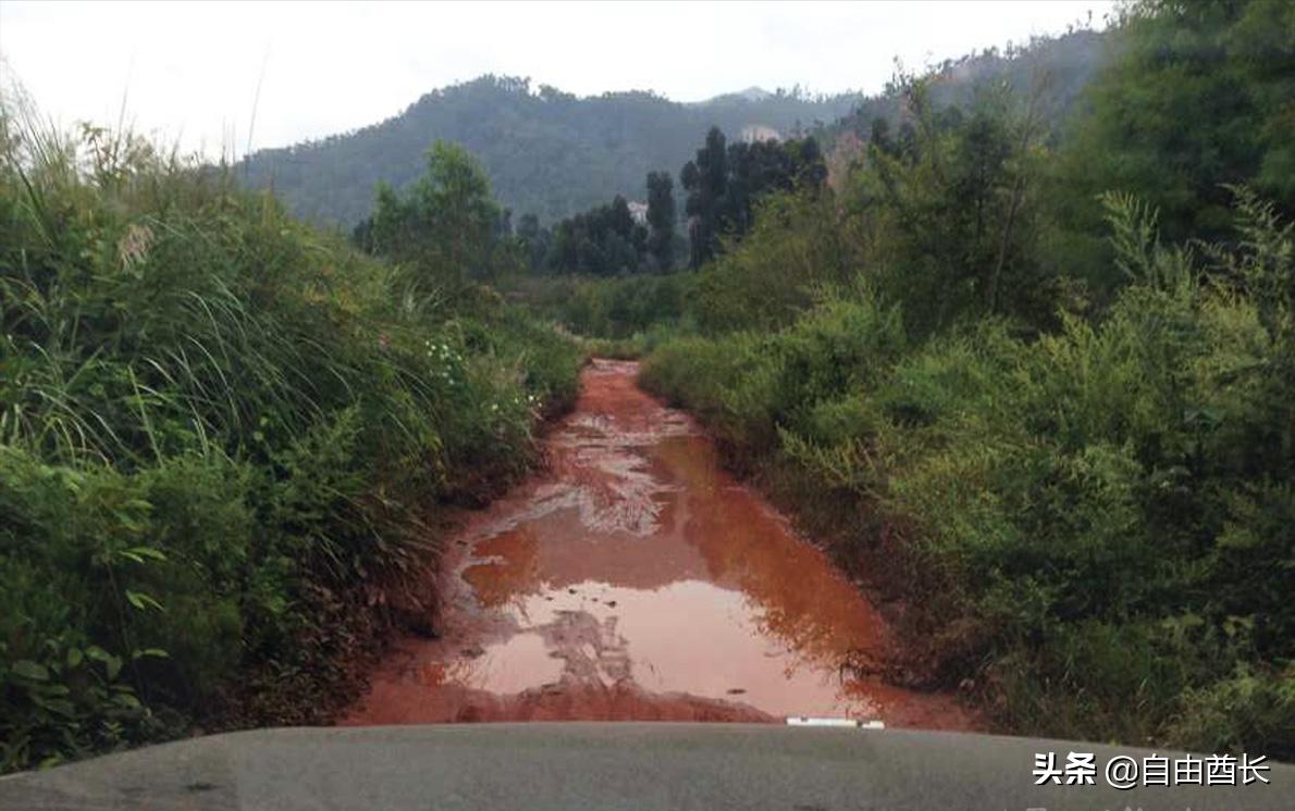 远去的驮铃声（十）抚仙湖畔的约定