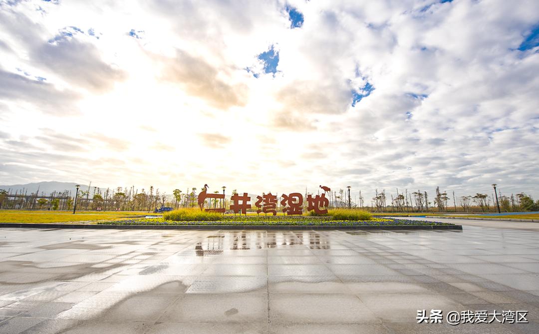 珠海春游赏花,珠海周边踏青景点
