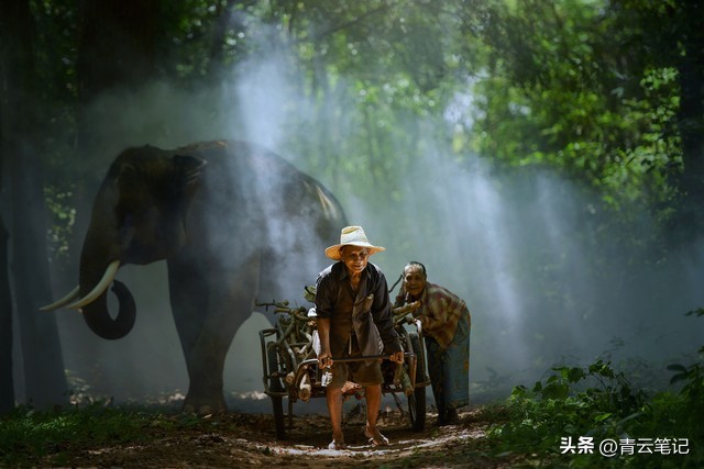 泰国女孩为什么长得那么漂亮,为什么泰国的女生都那么漂亮