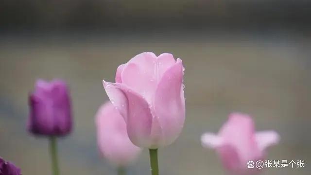 判断男人爱不爱老婆,判断男人爱不爱你的问题