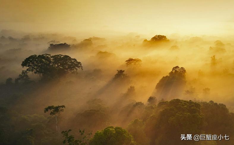 最为大方的星座,最迷人的五大星座男