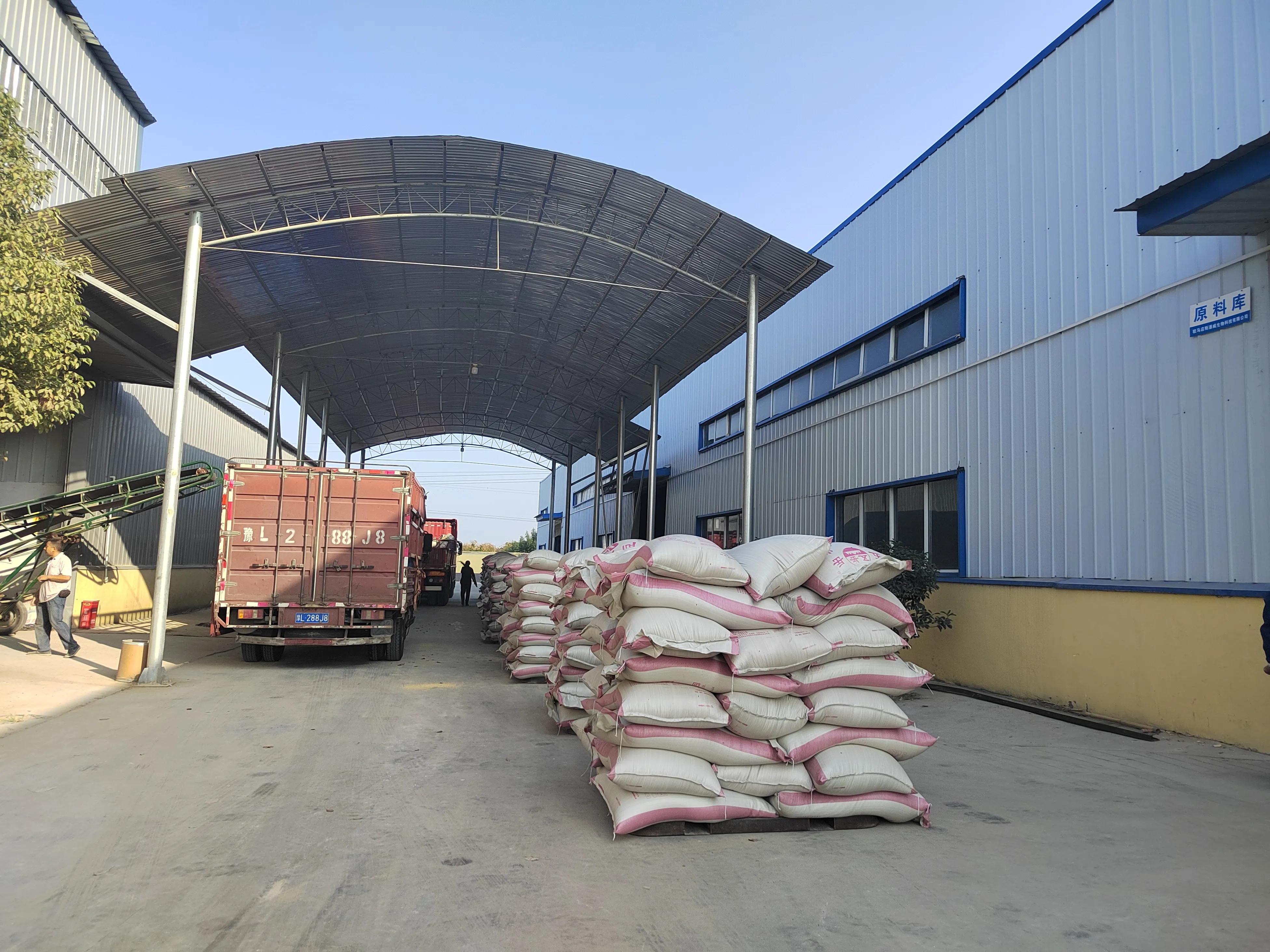 养猪赚近1000亿,养猪利润100万