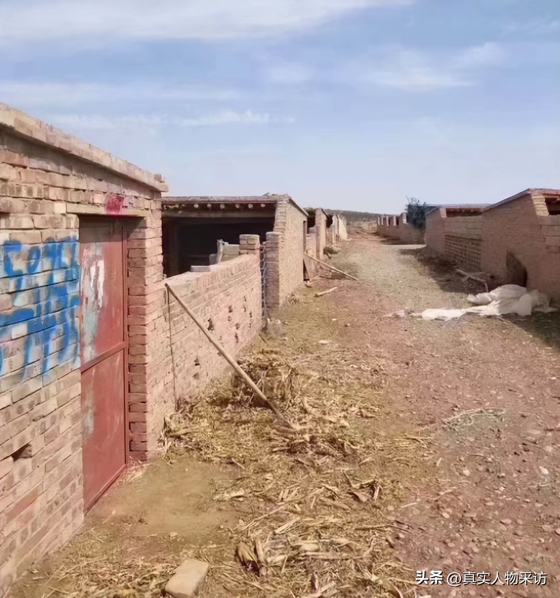 我，80后甘肃人，养羊6年赚600万，转战非洲创业，助国人非洲淘金