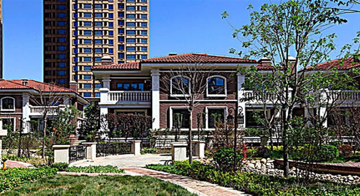 地产大佬闹剧：兄弟变仇人，公章抢夺群P！