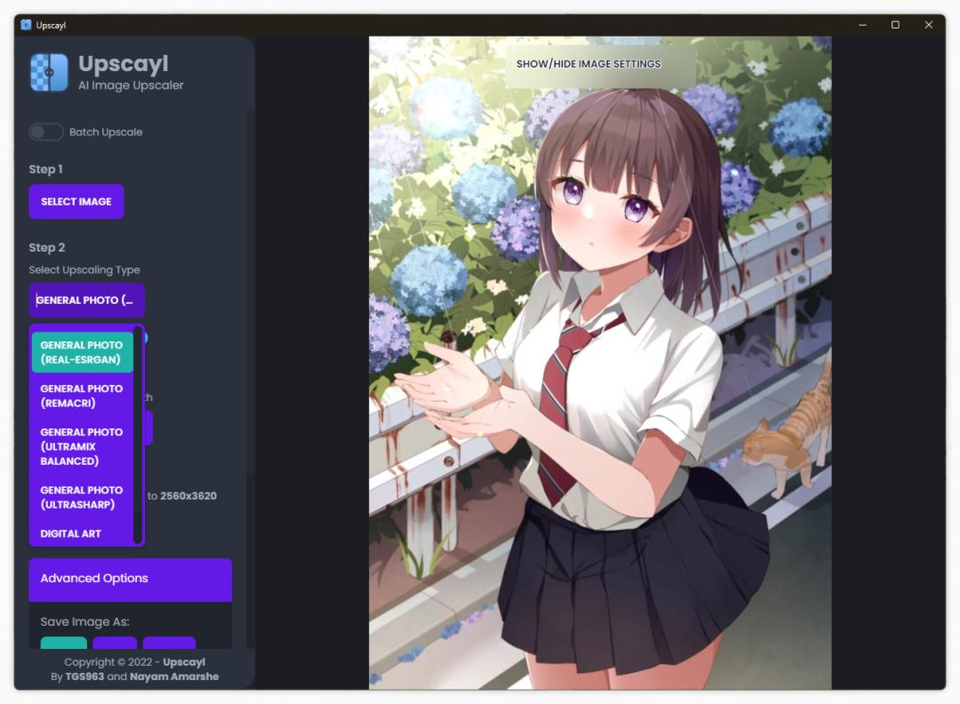 开源ai无损图片放大工具怎么安装,人工智能ai图片处理优化神器