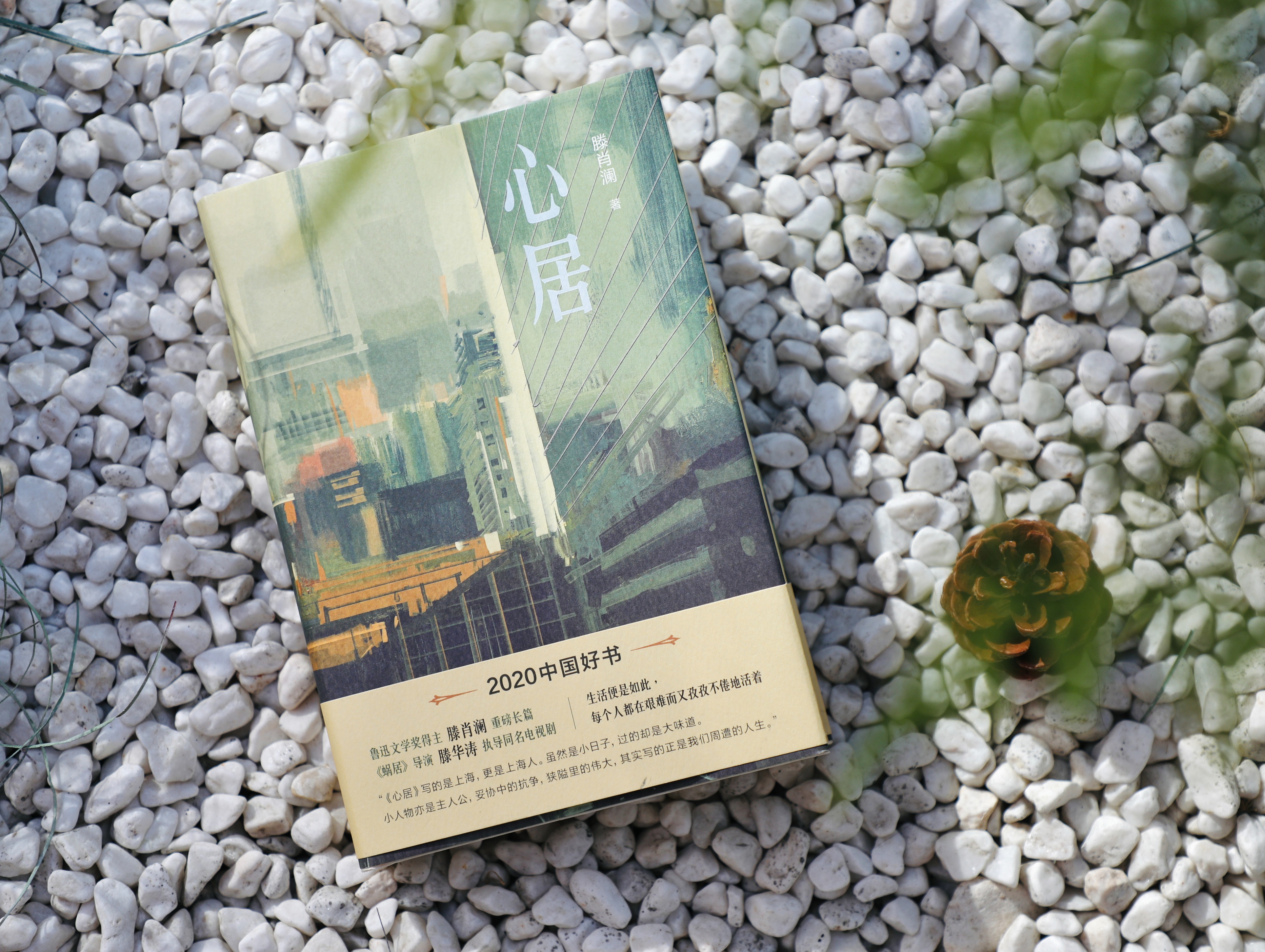 《心居》：每个人都在艰难而又孜孜不倦地活着。痛并快乐着。