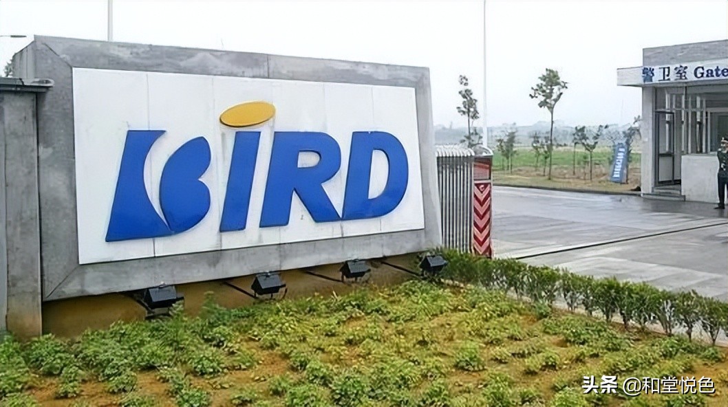 波导手机现状,昔日的波导现何在