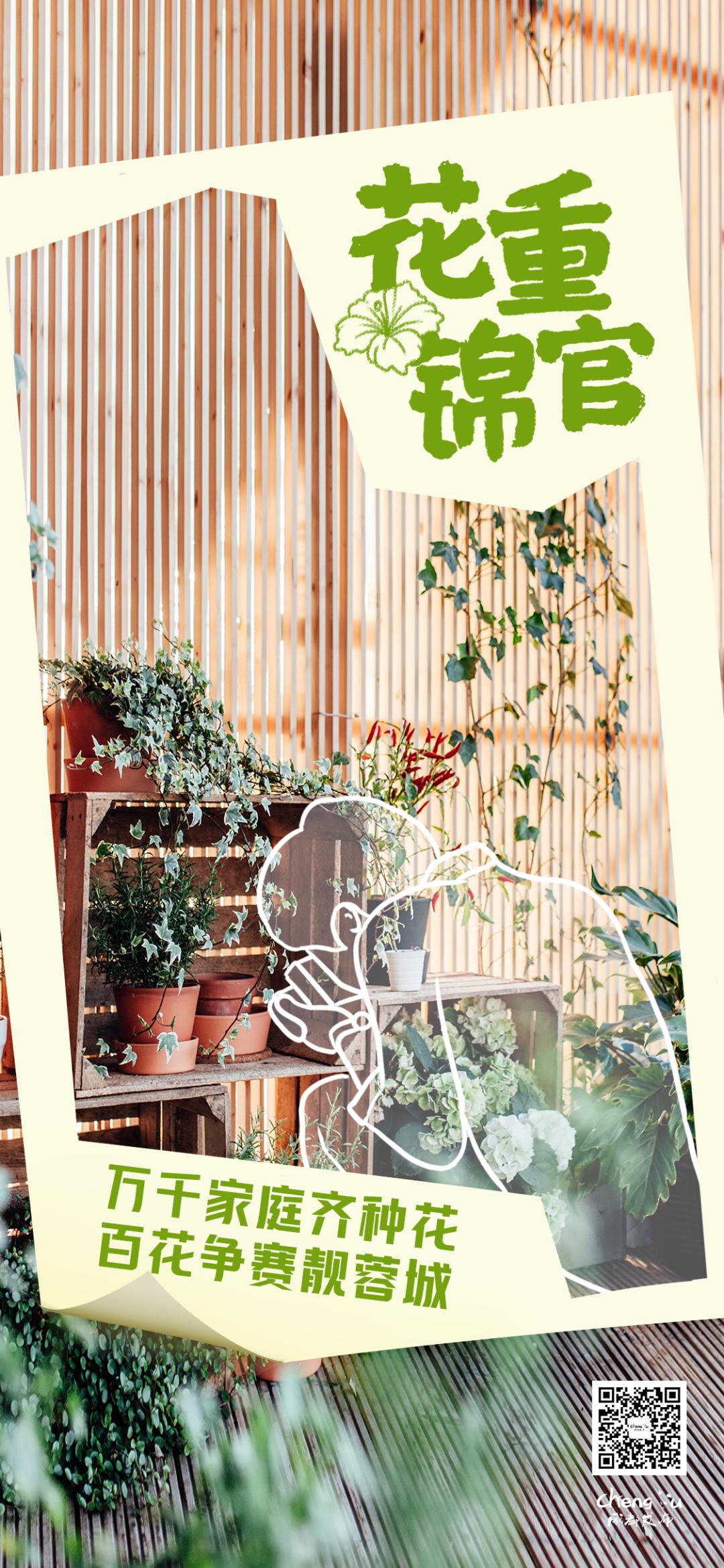 一起燃烧卡路里广场舞,一起燃烧卡路里幼儿版