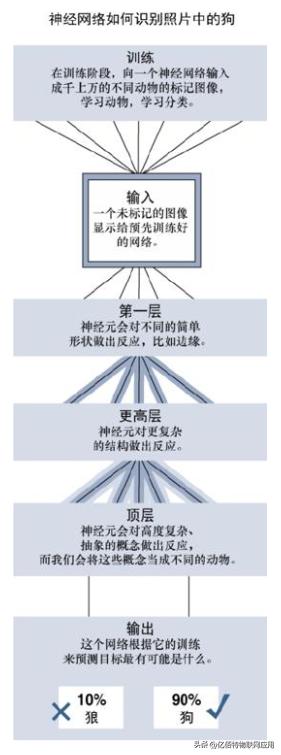 什么是机关单位,什么是机构