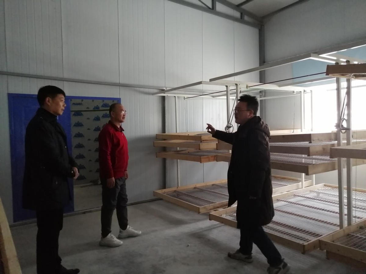 安康市老科协赴岚皋县圣世金铂桑园基地开展“科技之春”宣传活动